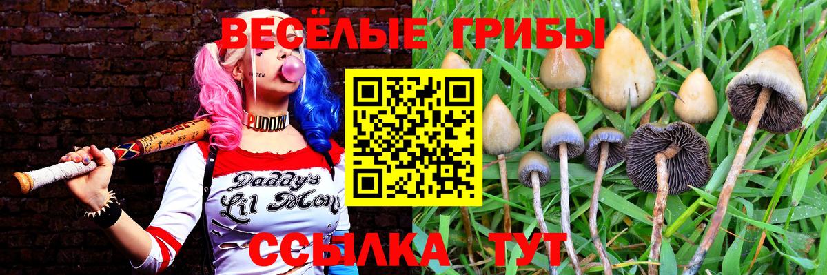 Псилоцибиновые грибы Magic Shrooms  Вход с VPN  Ступино  Галлюциногенные грибы ЛСД 