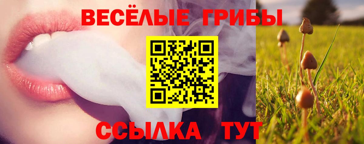 Псилоцибиновые грибы прущие грибы Ступино
